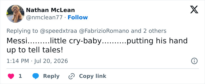 Tweet by Nathan McLean calling Lionel Messi a little cry-baby for a perceived shameful move during the World Cup Final. Tweet by Nathan McLean calling Lionel Messi a little cry-baby for a perceived shameful move during the World Cup Final.