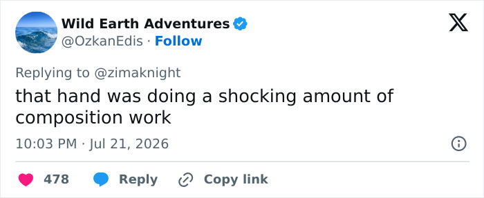 A tweet about Ryan Gosling movie posters, stating The hand was doing a shocking amount of composition work.