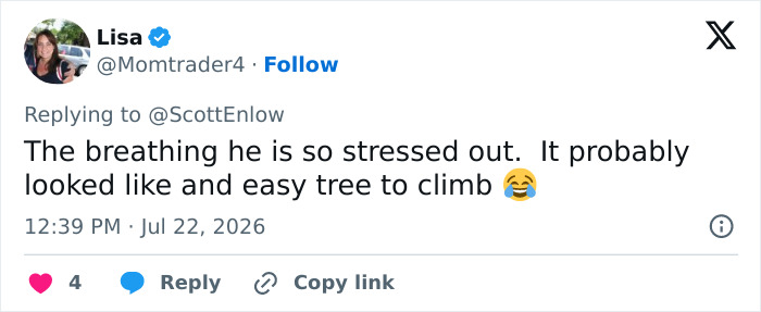Tweet by Lisa, noting the bear's stress after being stuck atop a telephone pole. Tweet by Lisa, noting the bear's stress after being stuck atop a telephone pole.