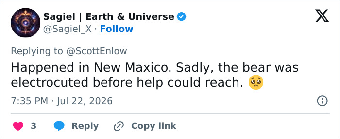 Tweet by Sagiel | Earth & Universe about the bear stuck atop a telephone pole, sadly electrocuted. Tweet by Sagiel | Earth & Universe about the bear stuck atop a telephone pole, sadly electrocuted.