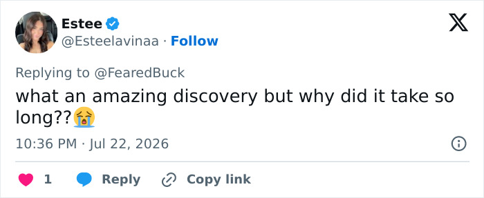 A social media post on X by Estee, discussing the amazing discovery of the crashed Pan Am plane. A social media post on X by Estee, discussing the amazing discovery of the crashed Pan Am plane.