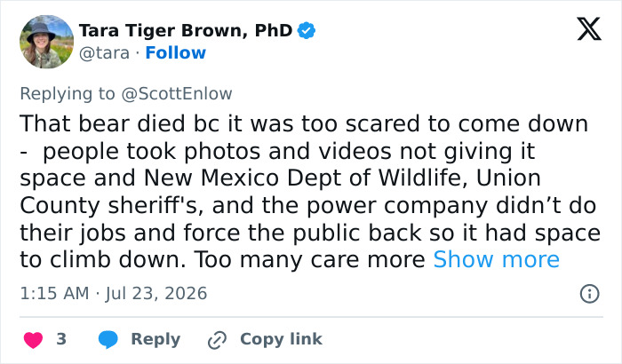 A social media post detailing the tragic update of the bear stuck atop the telephone pole, blaming public interference. A social media post detailing the tragic update of the bear stuck atop the telephone pole, blaming public interference.