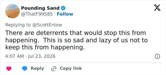 A social media comment about the tragic update in the viral story of a bear stuck atop a telephone pole. A social media comment about the tragic update in the viral story of a bear stuck atop a telephone pole.