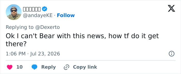 A social media post with a reply to a story about a bear stuck atop a telephone pole, expressing disbelief. A social media post with a reply to a story about a bear stuck atop a telephone pole, expressing disbelief.