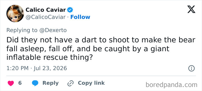 A social media comment discussing potential rescue methods for the bear stuck atop a telephone pole. A social media comment discussing potential rescue methods for the bear stuck atop a telephone pole.
