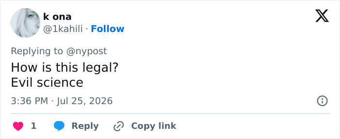 A social media comment asking about the legality of Biohacker Bryan Johnson cloning himself as a baby. A social media comment asking about the legality of Biohacker Bryan Johnson cloning himself as a baby.