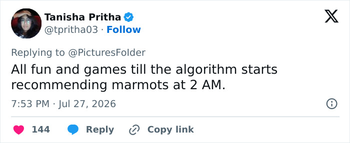A social media user jokes about marmot studies recommendations from an adult content platform. A social media user jokes about marmot studies recommendations from an adult content platform.