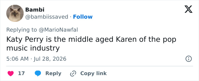 A tweet by Bambi stating that Katy Perry is the middle aged Karen of the pop music industry.
