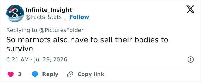 A viral tweet from Infinite_Insight commenting on marmots needing to sell their bodies to survive. A viral tweet from Infinite_Insight commenting on marmots needing to sell their bodies to survive.
