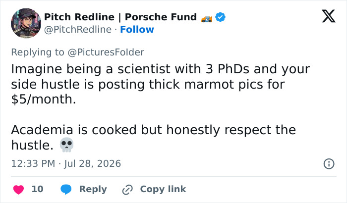 Screenshot of a social media post showing respect for a professor's side hustle to fund marmot studies. Screenshot of a social media post showing respect for a professor's side hustle to fund marmot studies.
