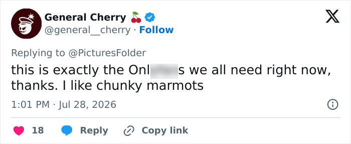 A social media post praising the professor's marmot studies funded by an adult content platform. A social media post praising the professor's marmot studies funded by an adult content platform.