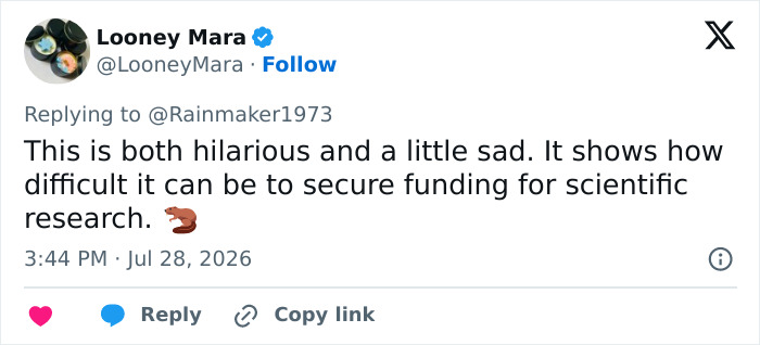 A viral tweet from Looney Mara highlighting the difficulty of securing funding for scientific research. A viral tweet from Looney Mara highlighting the difficulty of securing funding for scientific research.