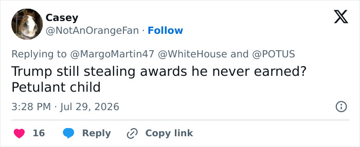 Screenshot of a tweet from Casey about Kindergartener Trump trying to steal an award. Screenshot of a tweet from Casey about Kindergartener Trump trying to steal an award.