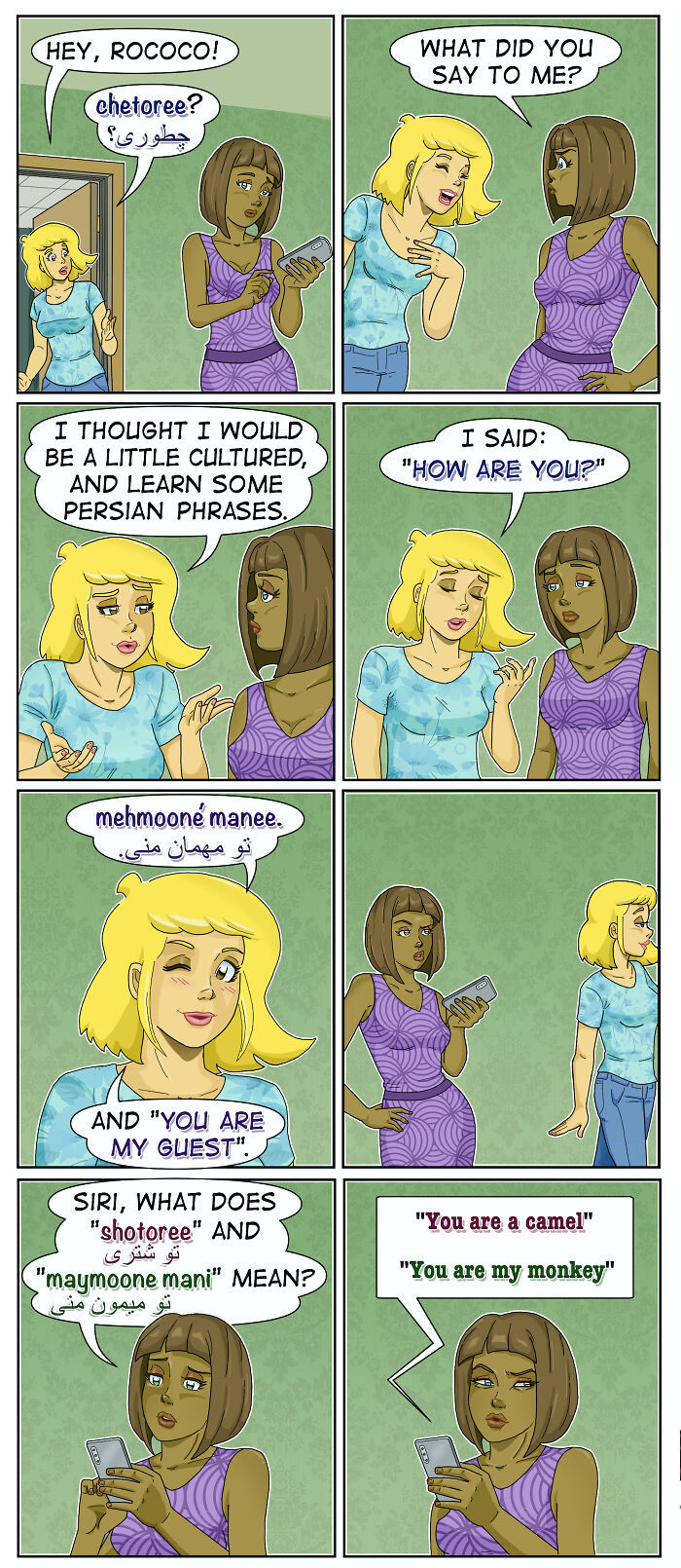 A comic depicting two women in an awkward moment, with one learning Persian phrases that sound like dirty jokes.
