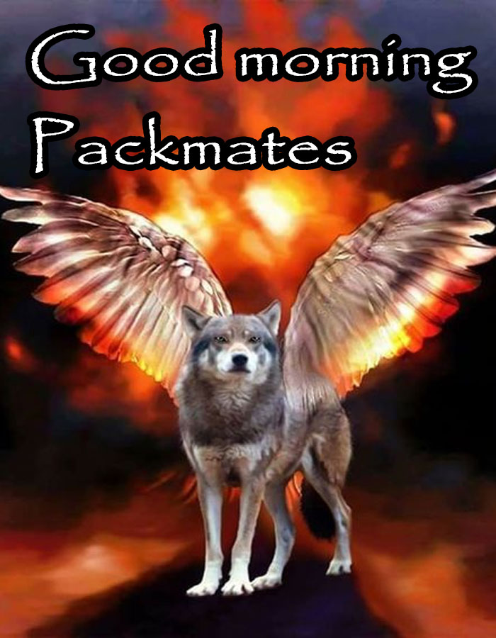 A cringe meme of a majestic wolf with fiery wings and a glowing background, with the text Good morning Packmates.
