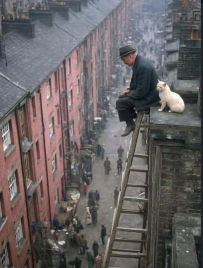 A man in a hat sits on a high ledge with a white cat beside him, looking down at a busy street scene below with many people and tall buildings, a striking street photo of animals.