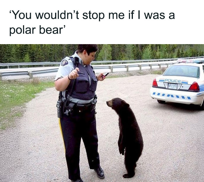 A cringe meme of a police officer and a bear on the road, illustrating unhinged and illogical humor.