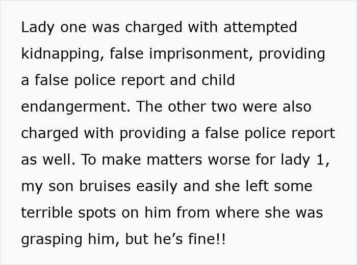 Text detailing the charges against the Old Karen for trying to kidnap a man's own stepson and other offenses. Text detailing the charges against the Old Karen for trying to kidnap a man's own stepson and other offenses.
