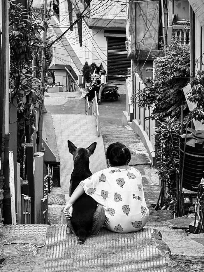 A grayscale street photo showing a person sitting on steps, embracing a dog, looking down a narrow, cluttered alleyway with buildings and power lines, highlighting animals.