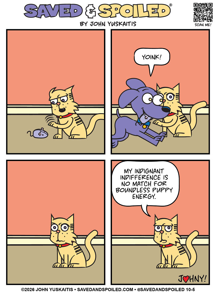 A comic featuring a dog and a cat, with the cat playing with a toy mouse and the dog playfully pouncing.