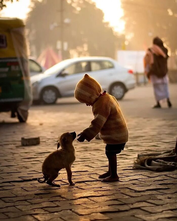 A young child in a knit hat and sweater feeding a small puppy on a street, with blurred cars and people in the background, capturing a sweet street photo of animals.
