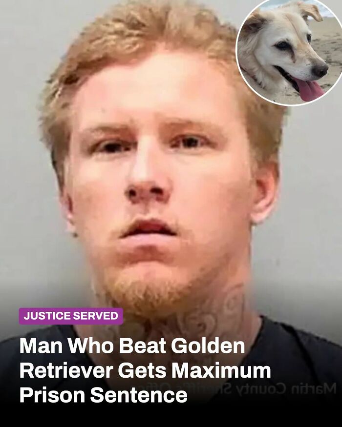 A man with a beard and tattoos. Inset shows a dog whose life changed after a rescue.