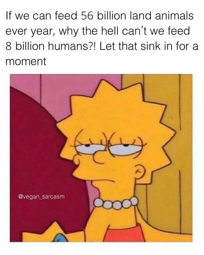 A funny meme with Lisa Simpson looking unimpressed, questioning why we can feed animals but not humans.