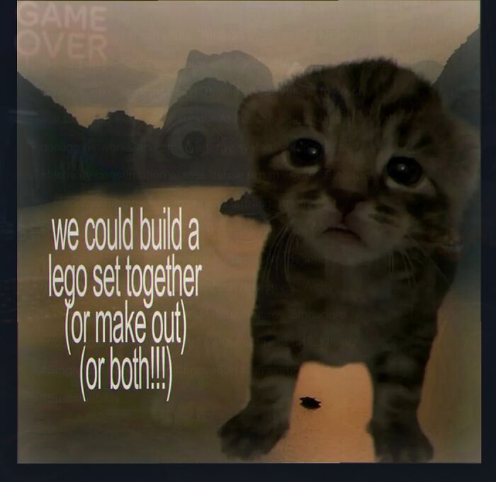 A weird meme with a sad kitten and text about building LEGO or making out.