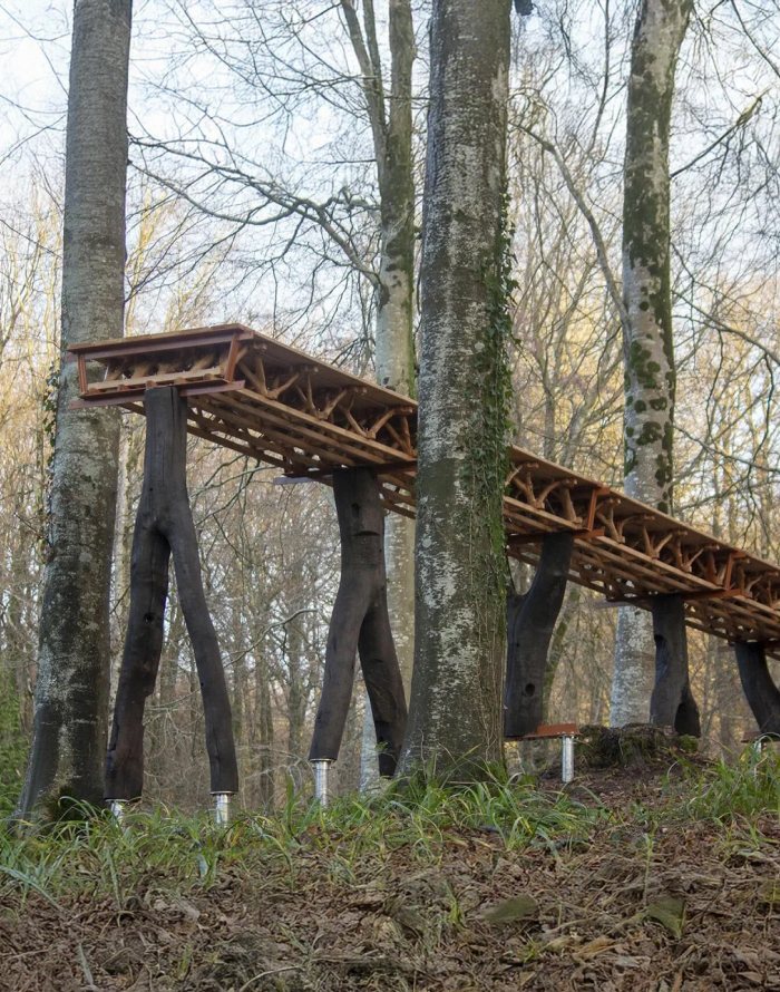 A unique wooden walkway elevated by tree trunks in a forest, showcasing modern architecture designs.