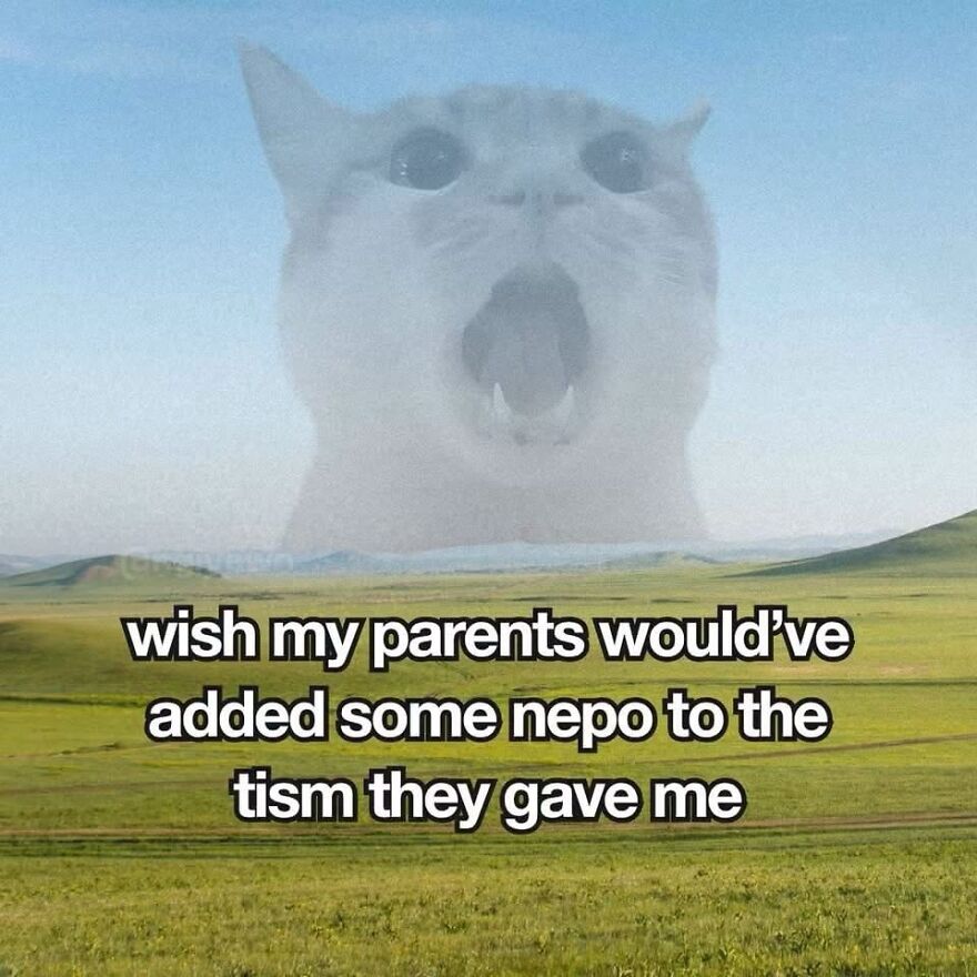 A meme with a giant cat over a field, humorously wishing for nepotism alongside autism, for autistic people feeling misunderstood.