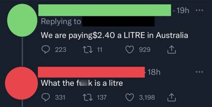 Screenshot of a comment asking What the f*** is a litre, highlighting how people from the US are very confused.
