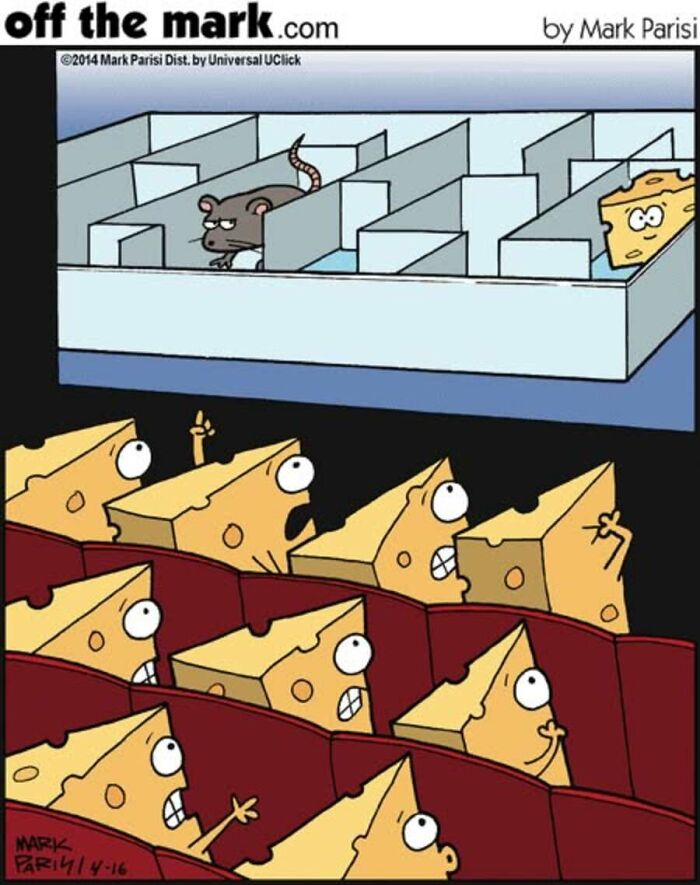 Funny one-panel comics by Mark Parisi present a mouse in a maze, as slices of cheese watch anxiously.