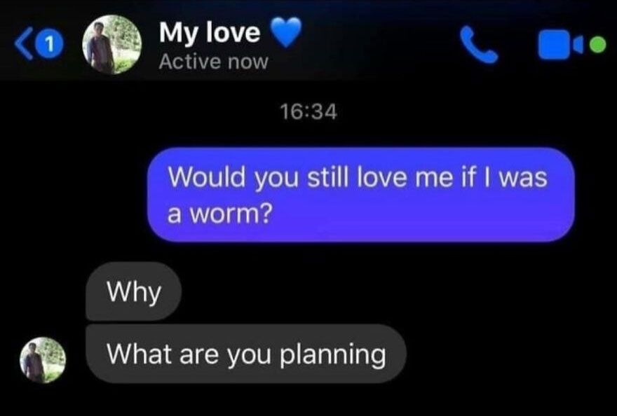 A hilariously unhinged screenshot of a funny conversation asking about loving someone as a worm.