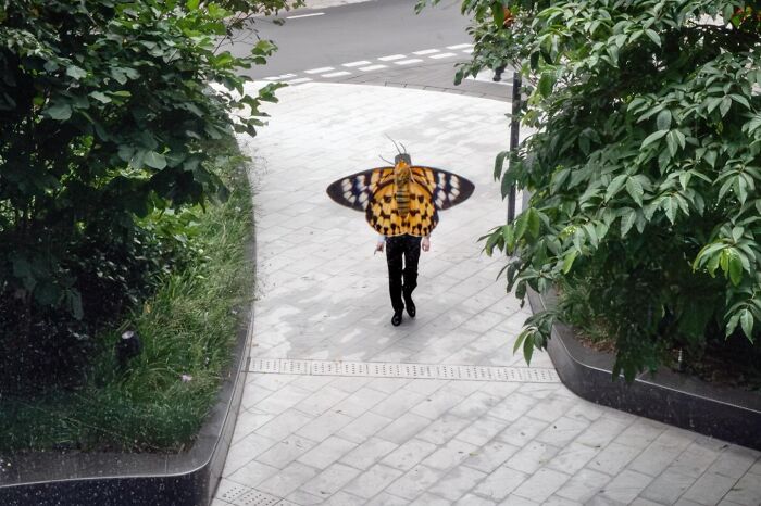 A person viewed from above walks down a paved path wearing a large butterfly costume, a street coincidence caught on camera.