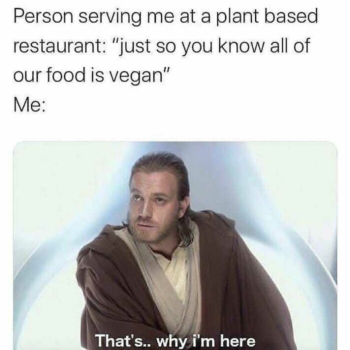 A funny vegan meme featuring Obi-Wan Kenobi, reacting to being told all food at a plant-based restaurant is vegan.