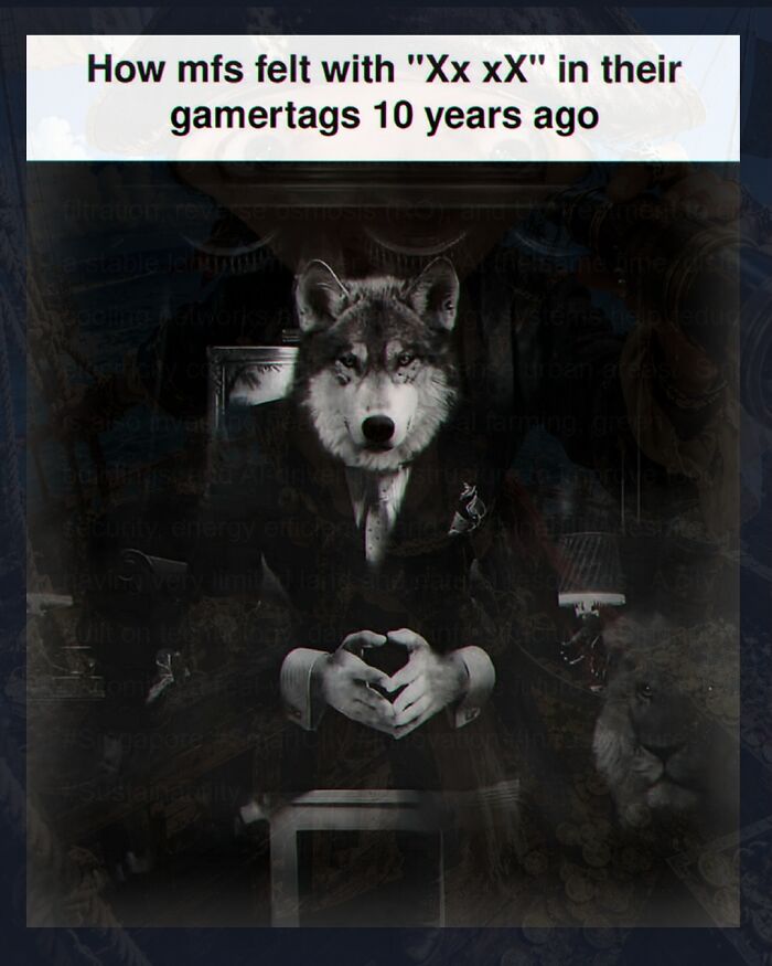 A weird meme showing a wolf in a suit, reflecting old gamer tags.