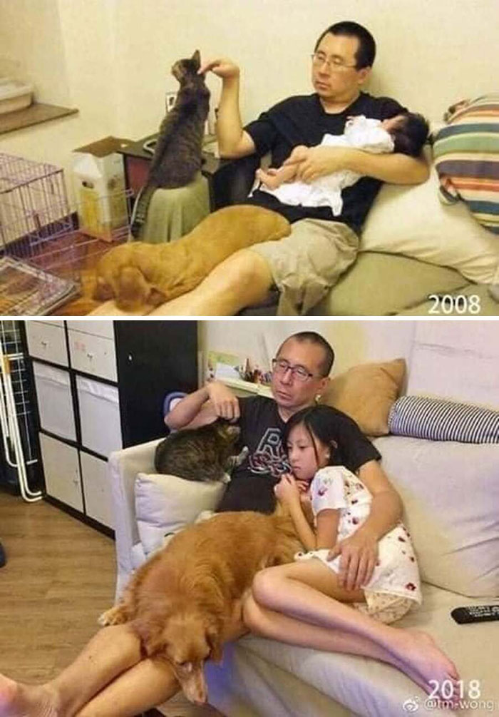 An adorable animal photo of a father with his baby, dog, and cat in 2008 and then again in 2018.