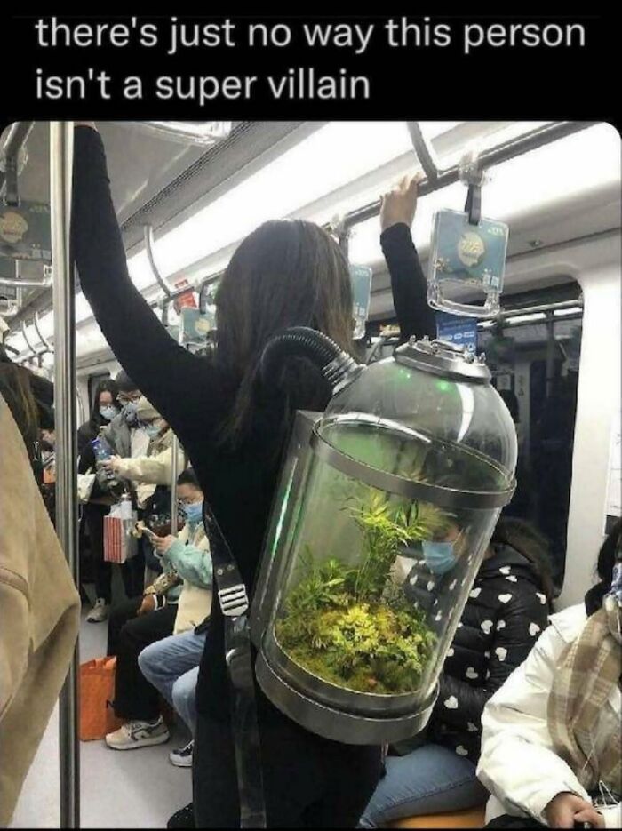 A person on a subway wearing a backpack containing a terrarium, portraying a ridiculous post and cultural decline.