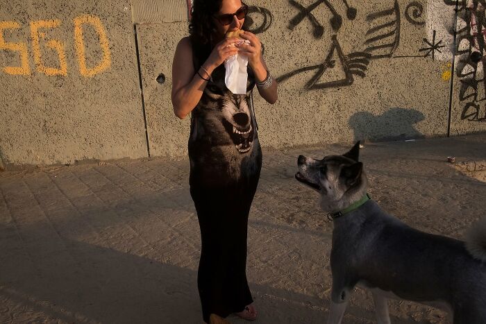 This Photographer Roams The Streets Looking For Unforgettable Dog Moments, And Here Are 50 Of His Best Finds