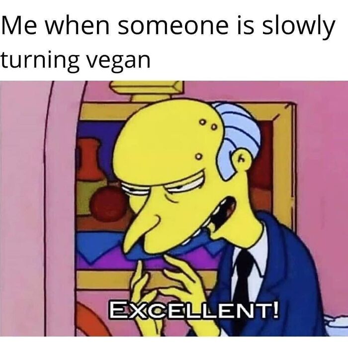 A funny meme with Mr. Burns from The Simpsons saying excellent, representing the humor of vegans when someone turns vegan.