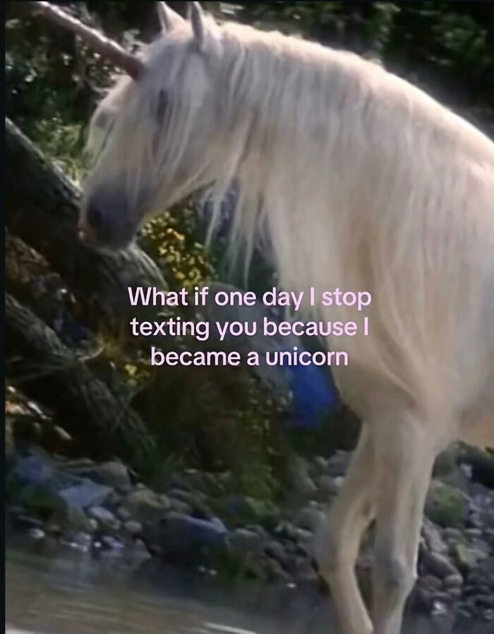 A funny meme of a unicorn by a stream, pondering what if one day texting stops because one became a unicorn.