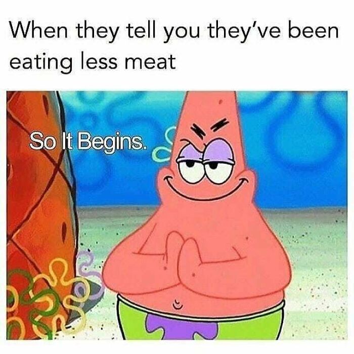 A Spongebob meme featuring Patrick Star with a sly look and the text So It Begins, related to vegans' humor about diet.