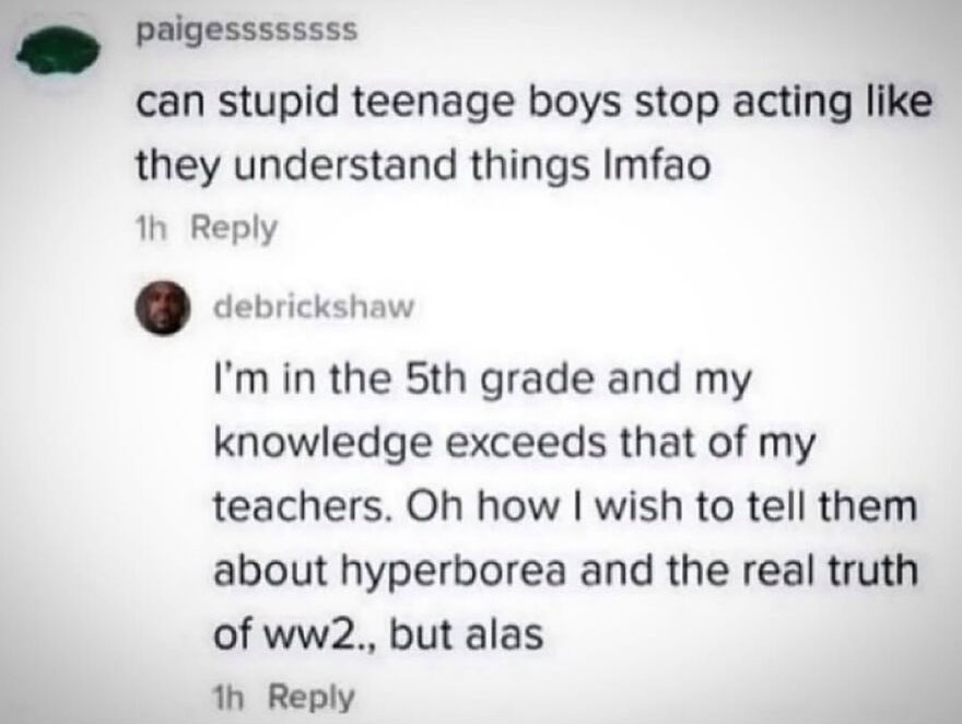 A hilariously unhinged screenshot of a comment section, with a user stating they are in 5th grade and know more than their teachers.