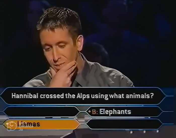 A contestant on Who Wants To Be A Millionaire gives a dumb answer about animals used to cross the Alps.