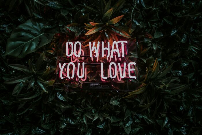 Neon sign glowing with Do What You Love surrounded by lush green and red-tinged leaves, symbolic of questions kids ask.