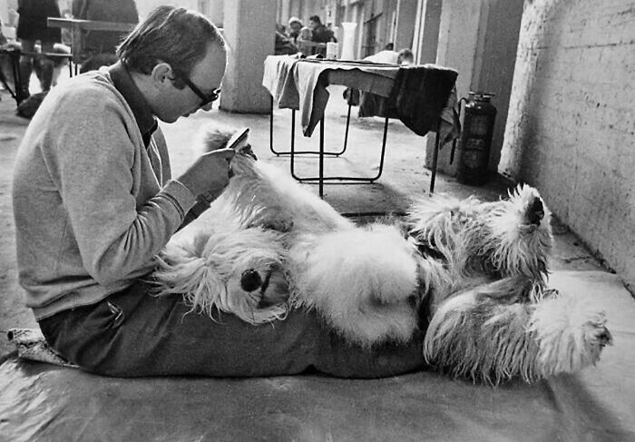 A black and white street photo of a person grooming a shaggy dog lying on its back, highlighting the bond with animals.