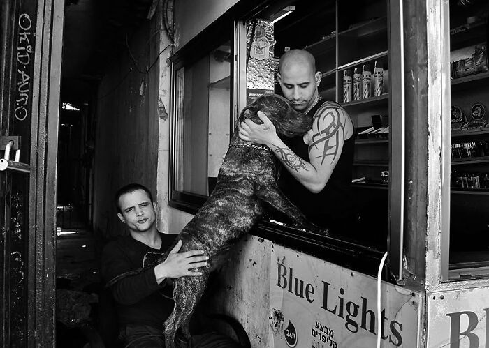 This Photographer Roams The Streets Looking For Unforgettable Dog Moments, And Here Are 50 Of His Best Finds