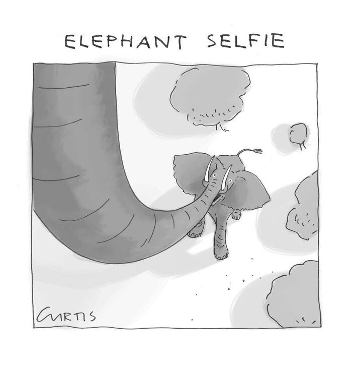 50 Clever One-Panel Comics By Kate Curtis That Turn Everyday Moments Into Brilliant Laughs