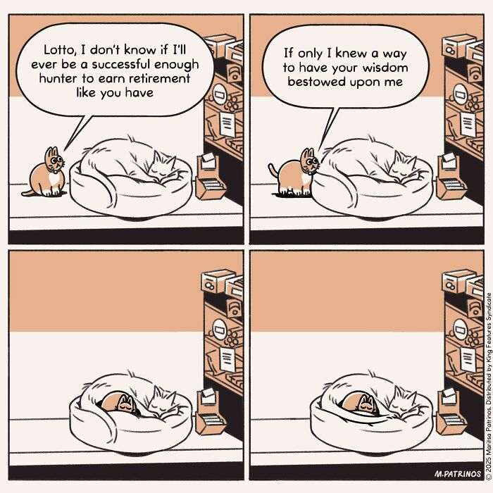 A comic imagining cats with jobs, one cat asks another about earning retirement while the second cat sleeps.