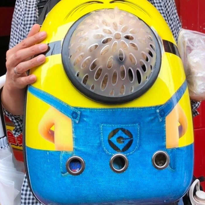 40 New Photos Of Dogs Traveling In Bags That Will Instantly Brighten Your Day (New Pics)